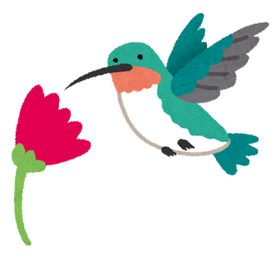 ハチ鳥